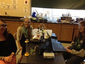 enzyme lab 